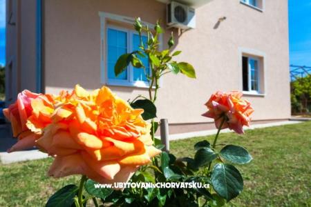 Ferienwohnungen Sea view foto 2