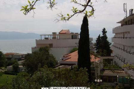 Apartment Gradac Falak foto 2