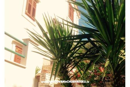 Appartements Belić  foto 5