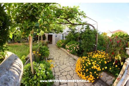 Appartements  Mate Slavic Insel Hvar Kroatien