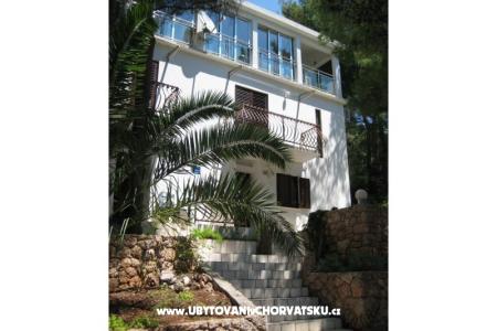 Ferienwohnungen Villa Ypsilon foto 4