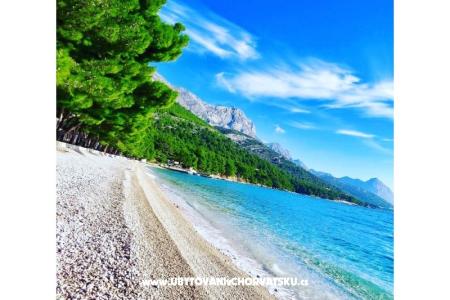 Appartements Lile foto 4