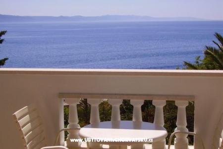 Ferienwohnungen M  foto 4