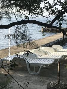 Appartement Sunshine Drace & Trstenik Kroatien
