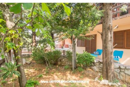 Apartment Tom foto 2