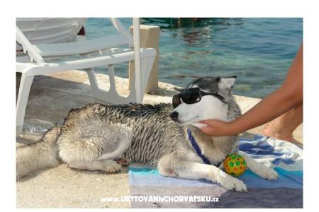 AG Komarna | Pelješac B. Ferienwohnungen Klek Kroatien