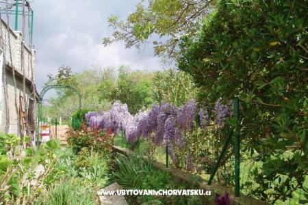 Appartements Petra foto 5