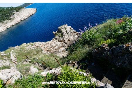 Appartements Plišić foto 2