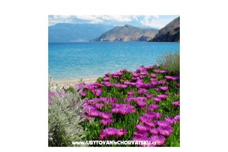 Ferienwohnungen Capic foto 3