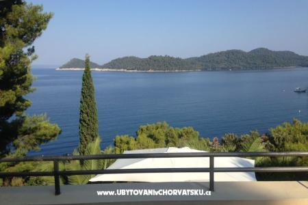 Villa Lastovo foto 3