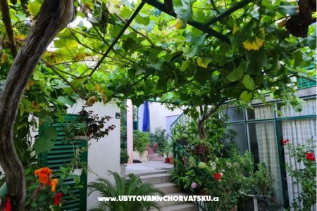 Ferienwohnungen Vinea foto 2