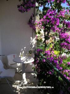 Ferienwohnungen Villa Luce foto 3