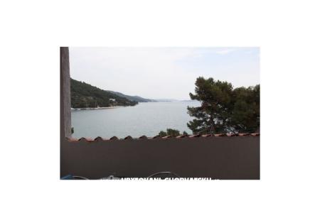 Zimmers Bili Galeb BED? foto 3
