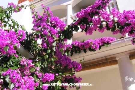 Ferienwohnungen Paloma blanca - Oaza Reg foto 2