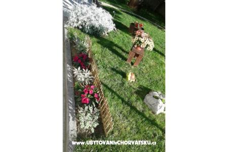 Appartements Anita foto 5