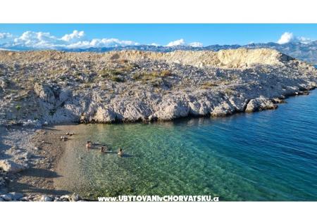 Apartment MARKO  foto 5