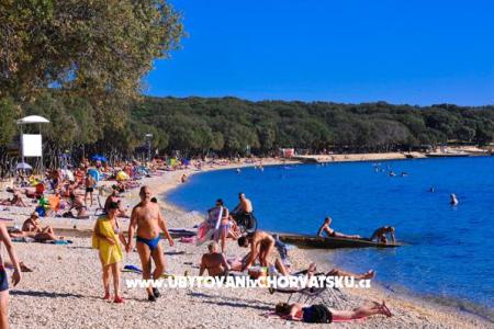 Ferienwohnungen Milka  - island Pag foto 2