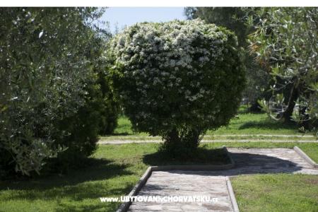 Sanja Ferienwohnungen Novigrad foto 3