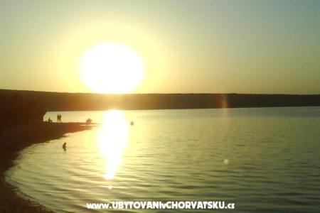 Kiwi Ferienwohnungen foto 4