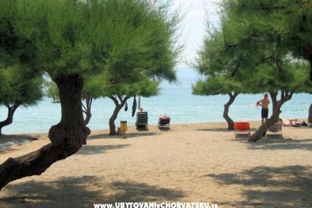 Appartements Lavanda foto 4