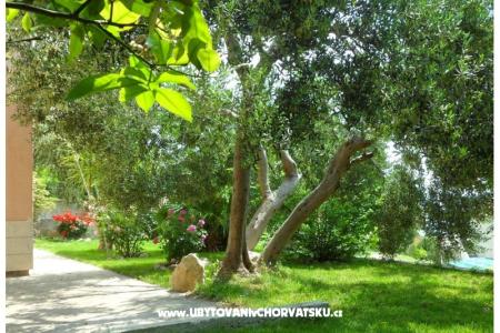 Appartements Maja foto 3