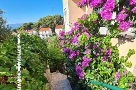 Appartements Miro, Duće foto 5