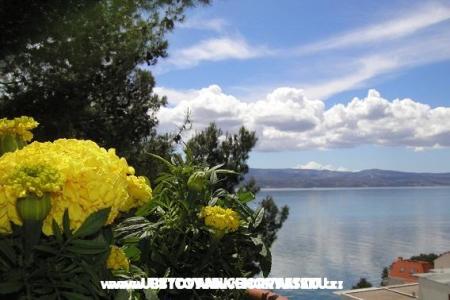 Appartements Tice foto 5