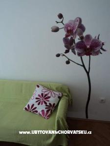 Vila Danica foto 2