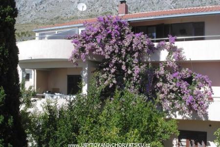 Villa Marko foto 3