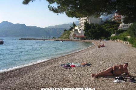 Appartements Perkušić foto 5