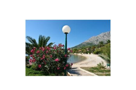 Appartements Mirjana foto 2