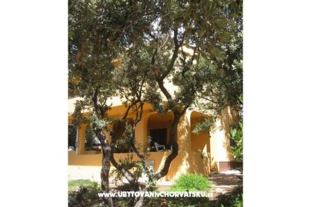 Appartements Marijana Mandre foto 3