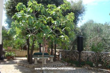 Ferienwohnungen Mandre foto 2