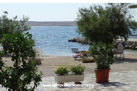 Ferienwohnungen VIVIEN (9x) foto 4