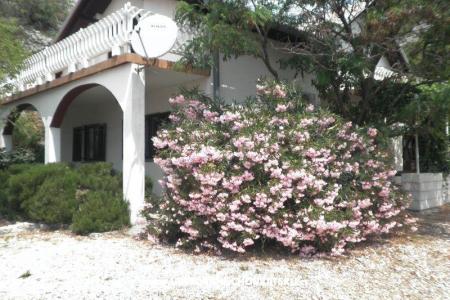 Ferienhaus Beli foto 2