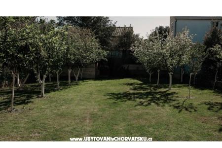 Appartements Ivišić foto 5