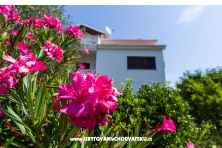 Appartements Ivanka foto 4