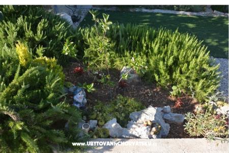 Appartements Biserka foto 3