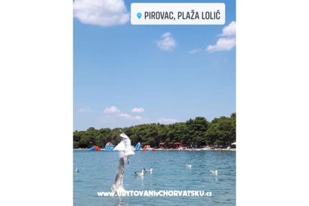 Villa Stefa Pirovac  foto 2