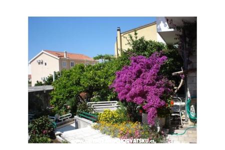 Appartements - Minka i Vite Podgora Kroatien