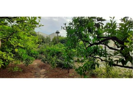 Appartements Mila foto 3