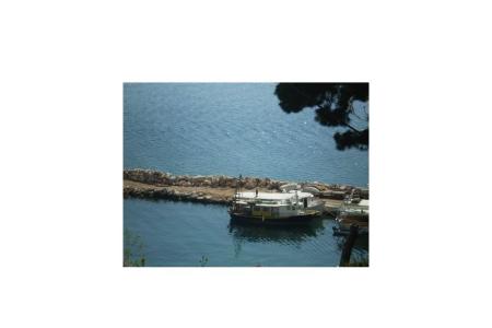 Appartements Antonela foto 4