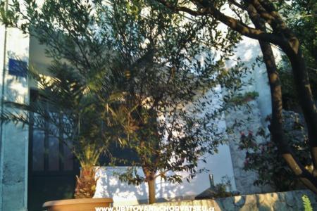 Ferienwohnungen Brusje foto 2