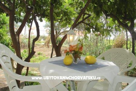 Ferienwohnungen Bougainvillea foto 2
