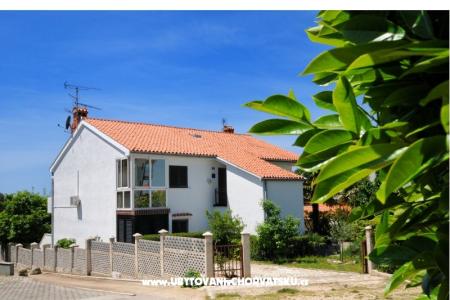 Apartment Dragica foto 3