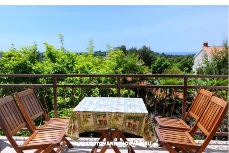 Apartment Dragica foto 4