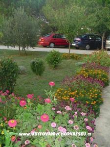 Appartements Mare &amp; Berto foto 2
