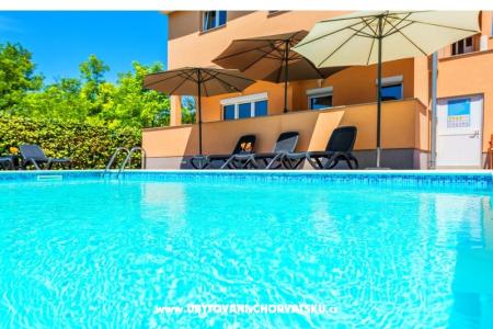 Ferienwohnungen  Nelly foto 5