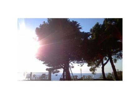 Ferienwohnungen Šime foto 3