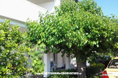 Appartements Snjezana Insel Rab Kroatien